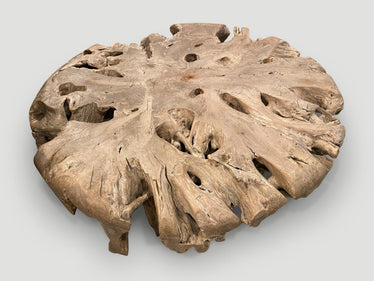 Impressive Large Teak Root Coffee Table