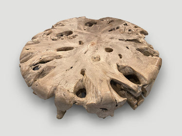 Impressive Large Teak Root Coffee Table