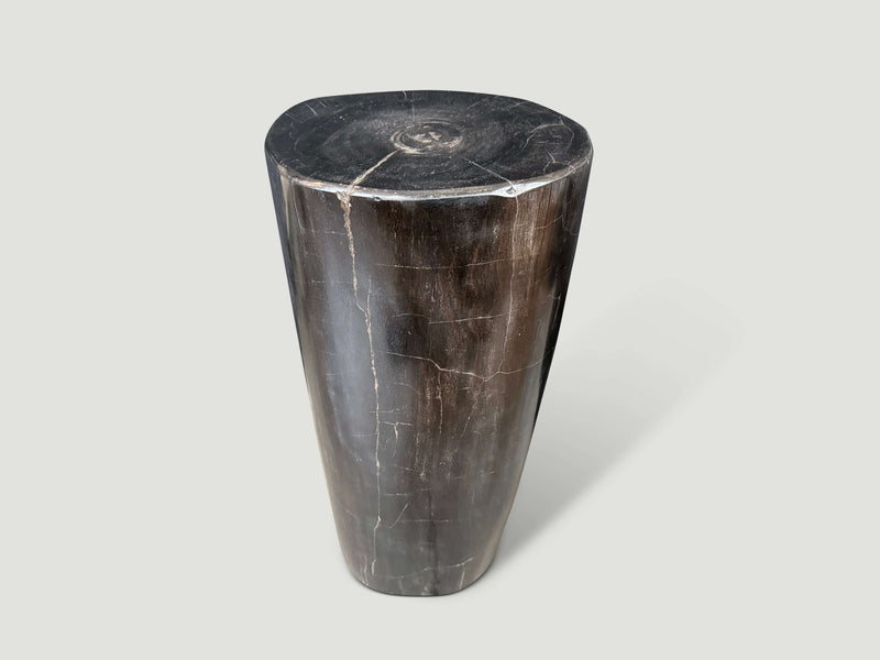 Minimalist Column Petrified Wood Side Table