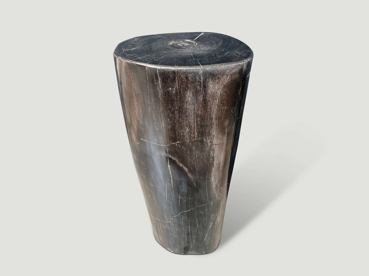 Minimalist Column Petrified Wood Side Table