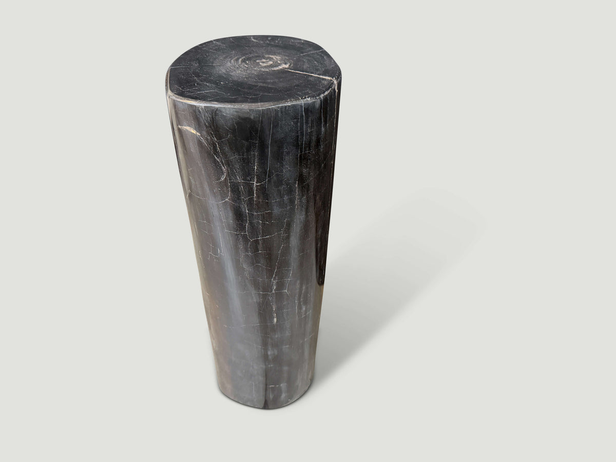 Minimalist Column Petrified Wood Side Table