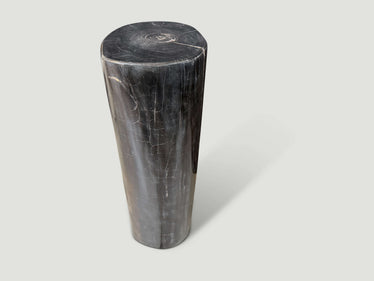 Minimalist Column Petrified Wood Side Table