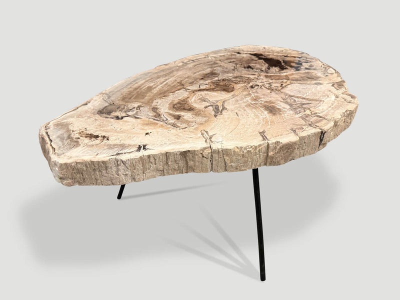 Minimalist Petrified Wood Coffee Table