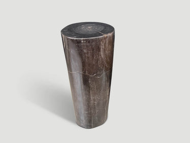 Minimalist Column Petrified Wood Side Table