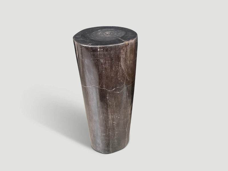 Minimalist Column Petrified Wood Side Table
