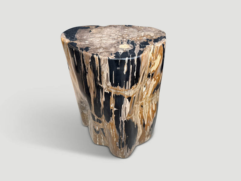Impressive High Quality Ancient Petrified Wood Side Table