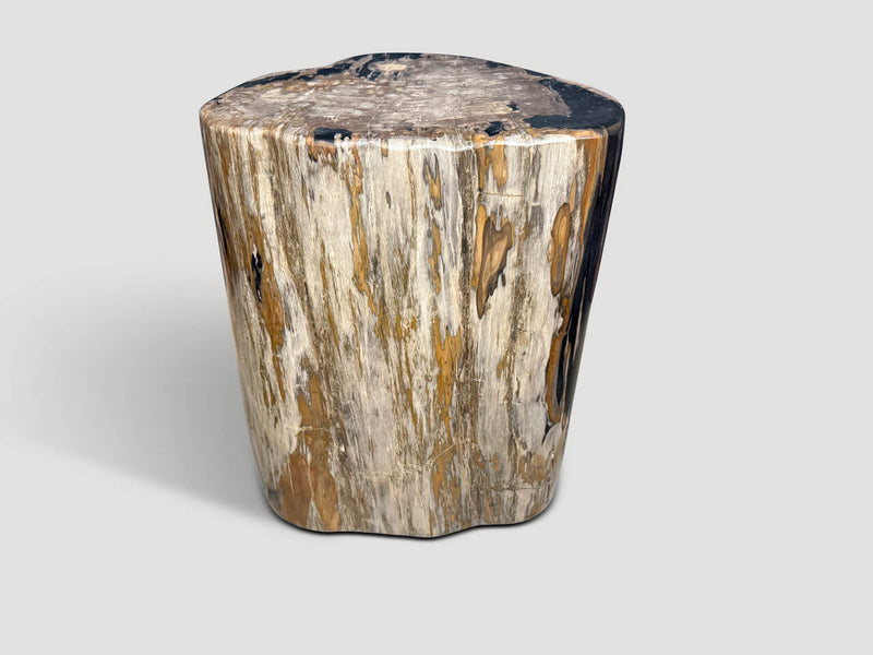 Impressive High Quality Ancient Petrified Wood Side Table