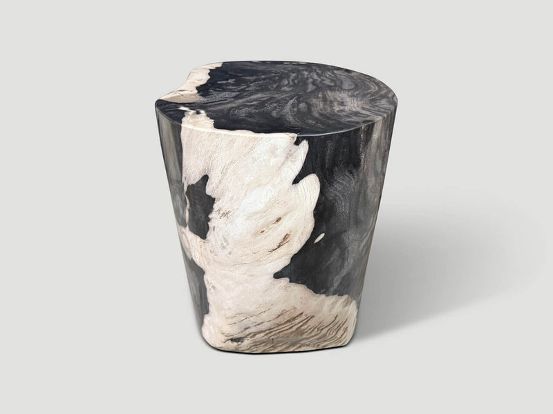 Modern Organic Petrified Wood Side Table