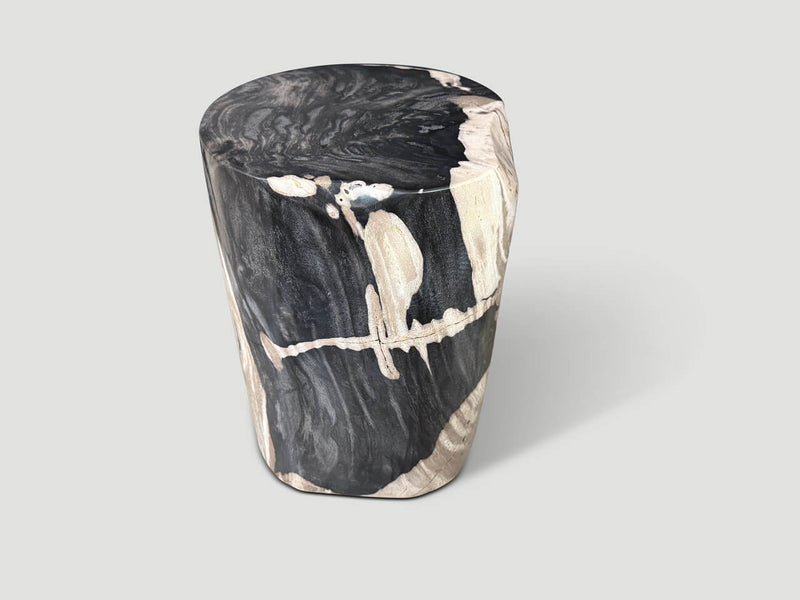 Modern Organic Petrified Wood Side Table