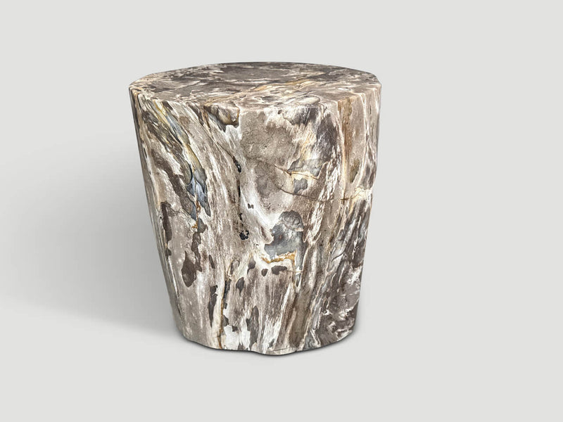 Ancient Petrified Wood Side Table