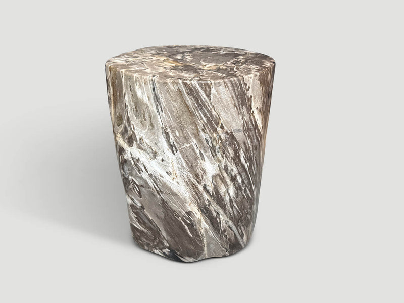Ancient Petrified Wood Side Table