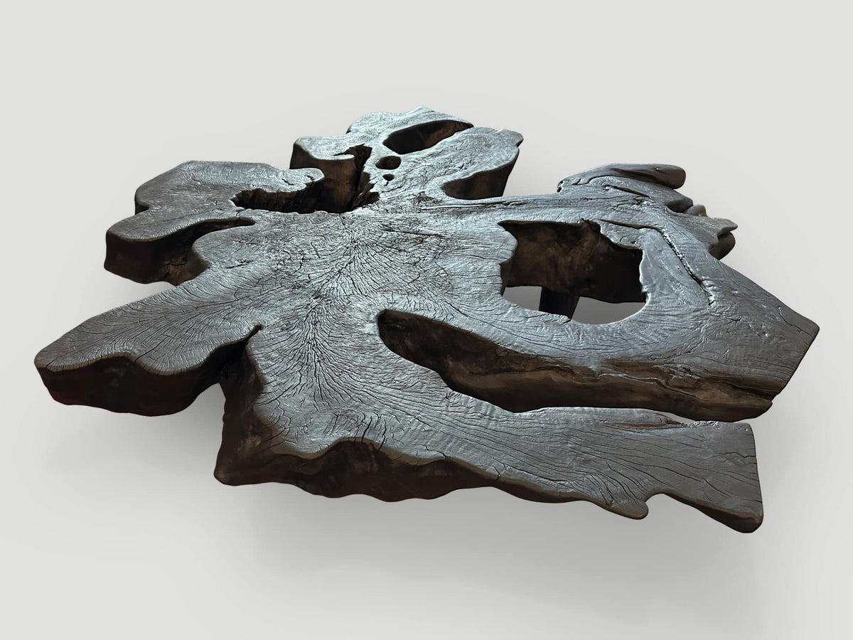Amorphous Charred Coffee Table