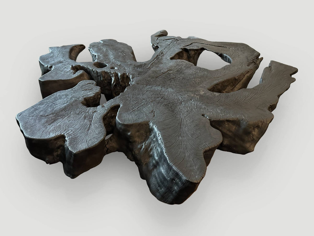 Amorphous Charred Coffee Table
