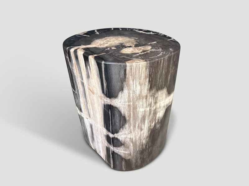 Modern Organic Petrified Wood Side Table