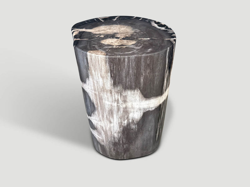 Modern Organic Petrified Wood Side Table