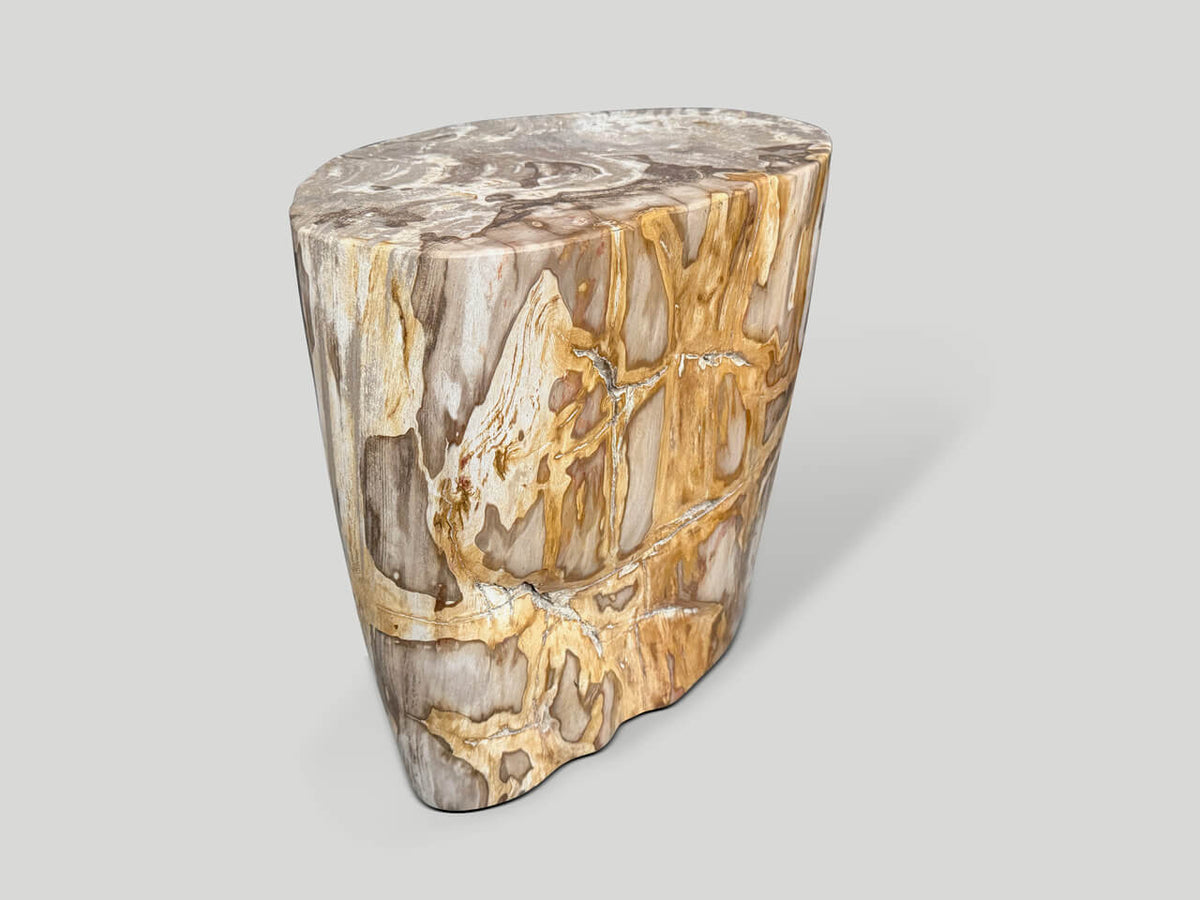 Impressive High Quality Ancient Petrified Wood Side Table