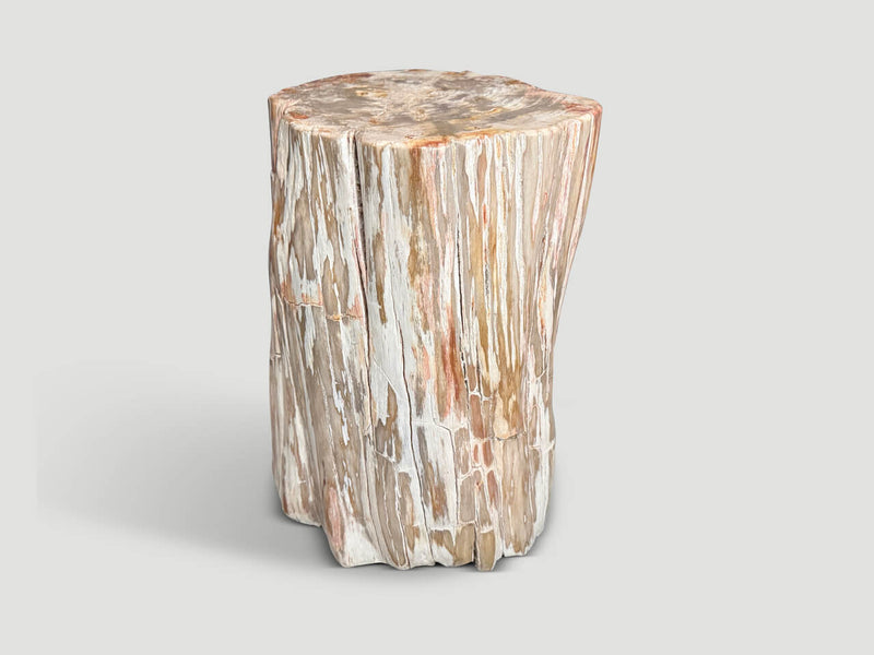 Coral Toned Ancient Petrified Wood Side Table