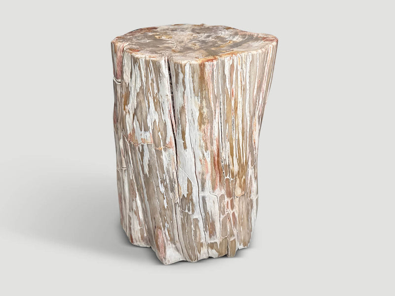 Coral Toned Ancient Petrified Wood Side Table