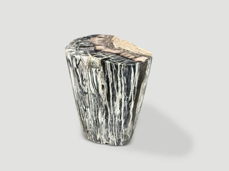 Minimalist Modern Organic Petrified Wood Side Table