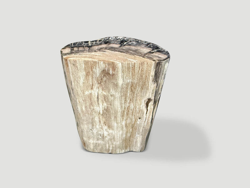 Minimalist Modern Organic Petrified Wood Side Table