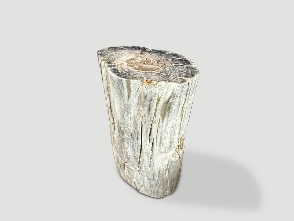 Ancient Petrified Wood Side Table