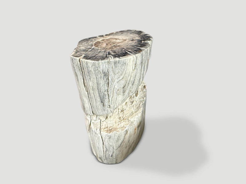 Ancient Petrified Wood Side Table