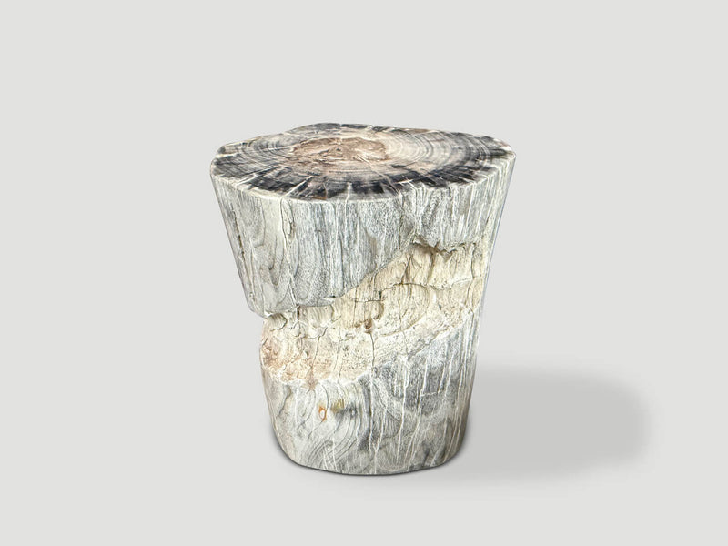 Ancient Petrified Wood Side Table