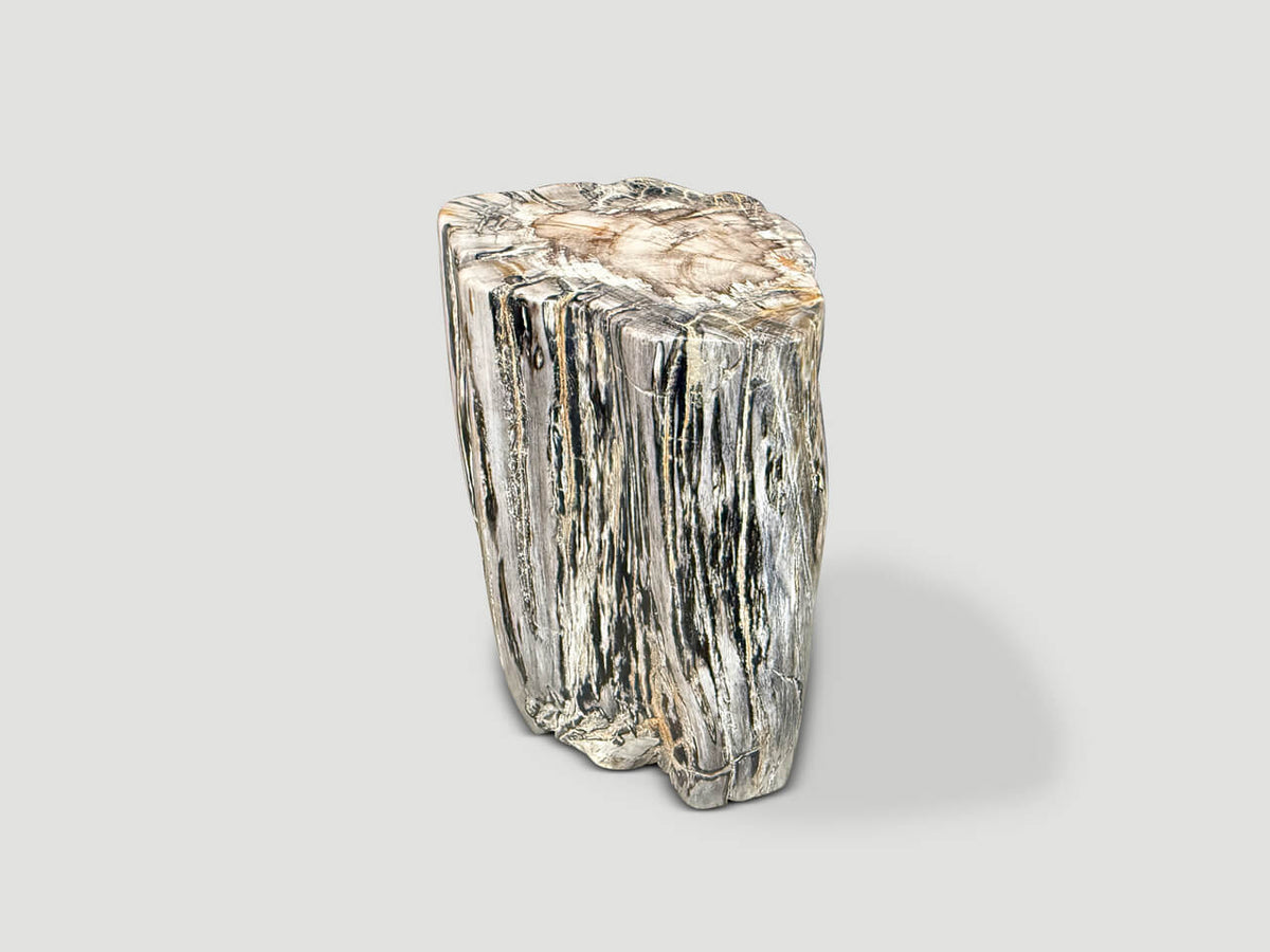 Ancient Petrified Wood Side Table