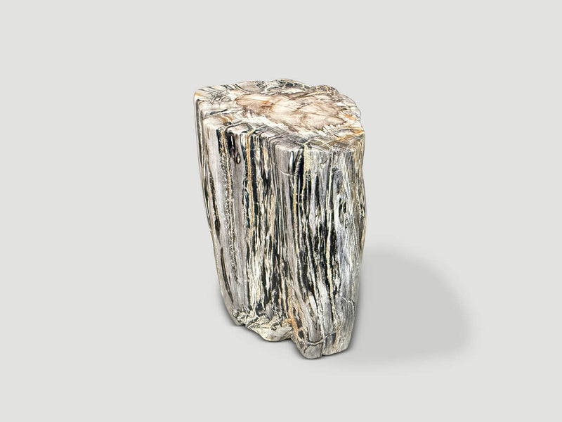 Ancient Petrified Wood Side Table