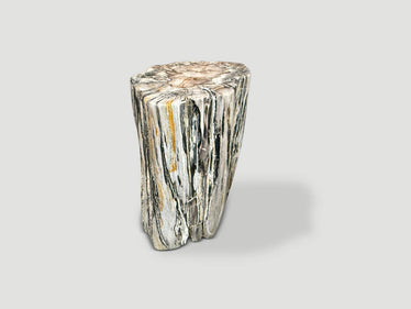 Ancient Petrified Wood Side Table