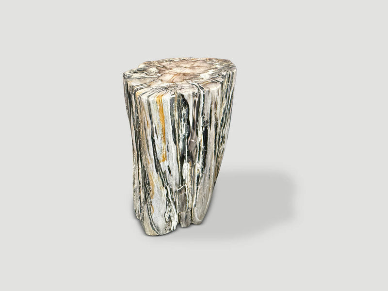 Ancient Petrified Wood Side Table