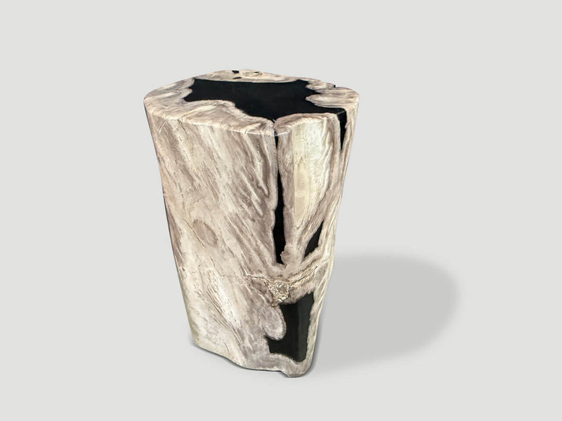Abstract High Quality Petrified Wood Side Table