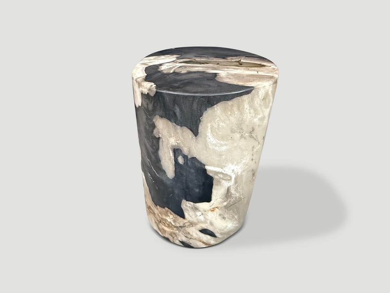 Modern Organic Petrified Wood Side Table