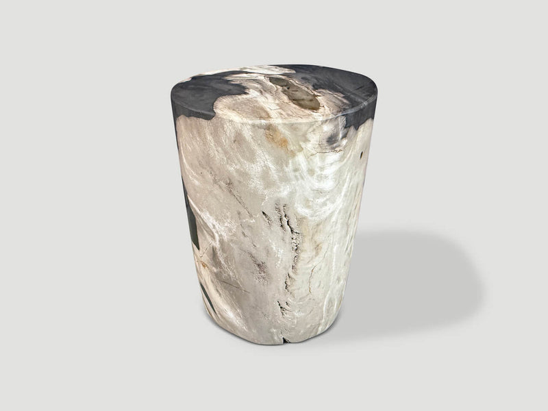 Modern Organic Petrified Wood Side Table
