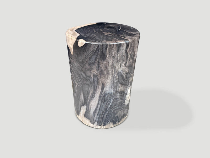Modern Organic Super Smooth Petrified Wood Side Table