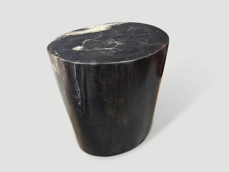 Impressive Ancient Petrified Wood Side Table
