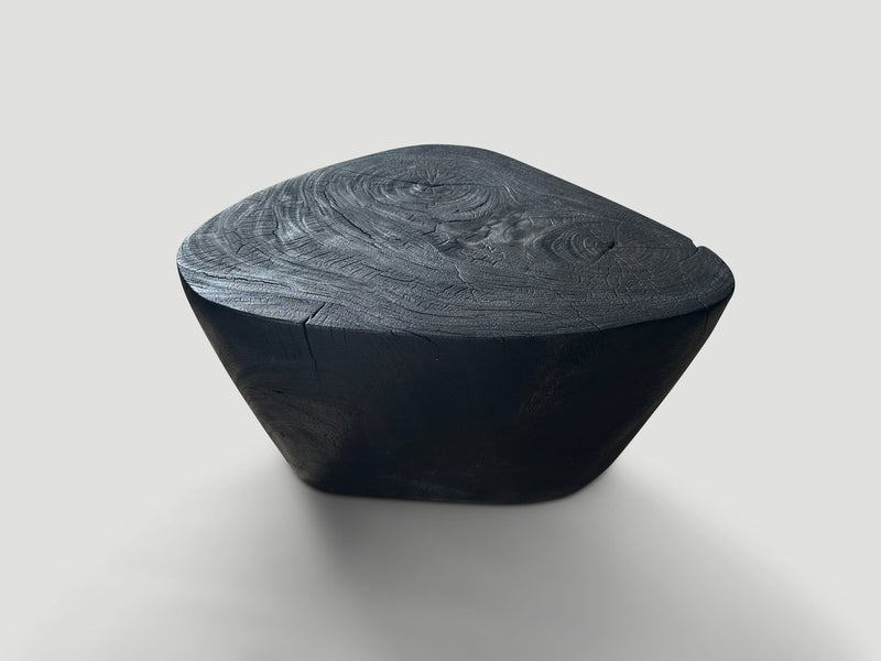 Charred Minimalist Coffee Table