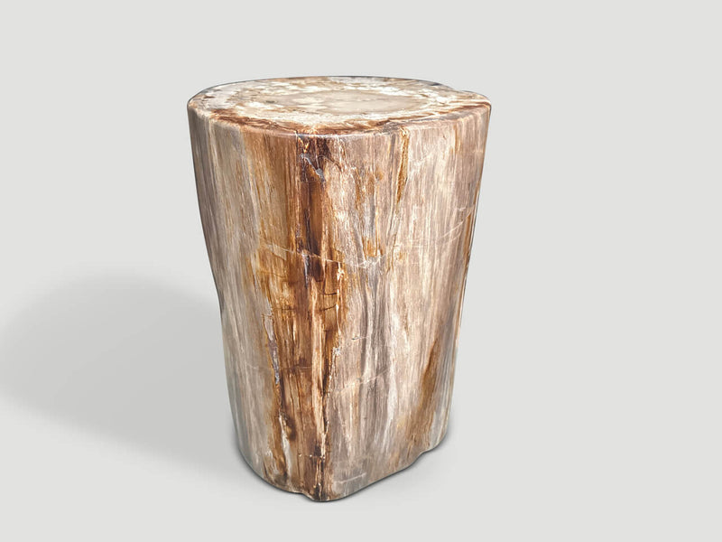 Coral Toned High Quality Petrified Wood Side Table