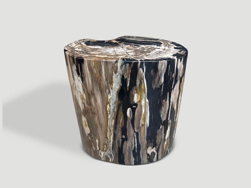 Impressive Ancient Petrified Wood Side Table