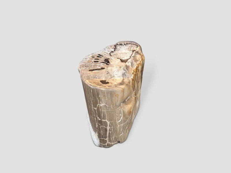 Ancient Petrified Wood Side Table