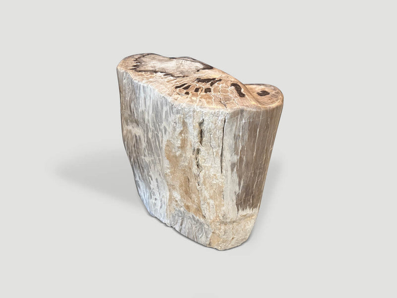 Ancient Petrified Wood Side Table
