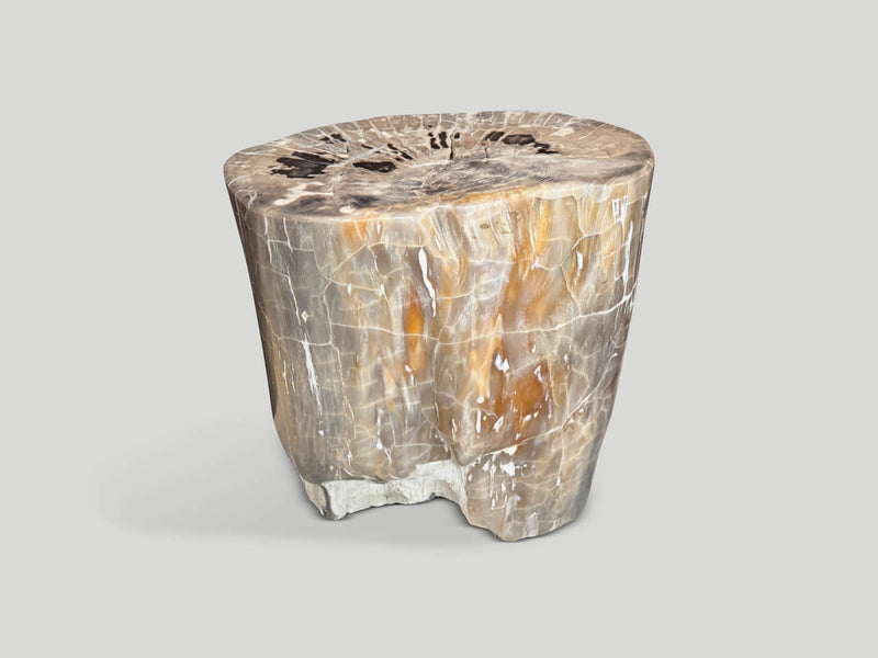 Ancient Petrified Wood Side Table