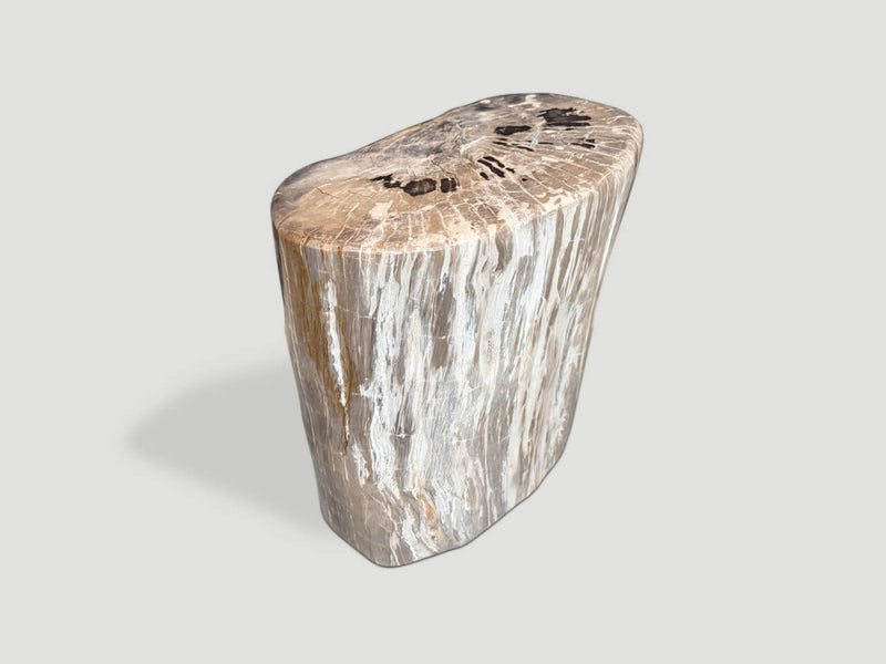 Ancient Petrified Wood Side Table