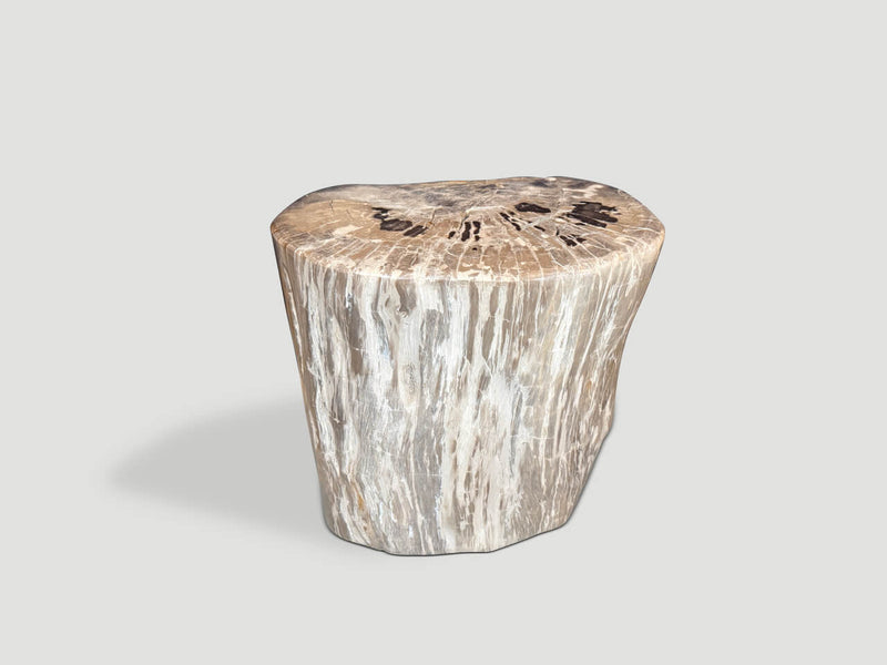 Ancient Petrified Wood Side Table