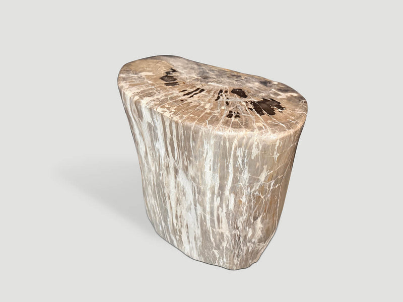Ancient Petrified Wood Side Table