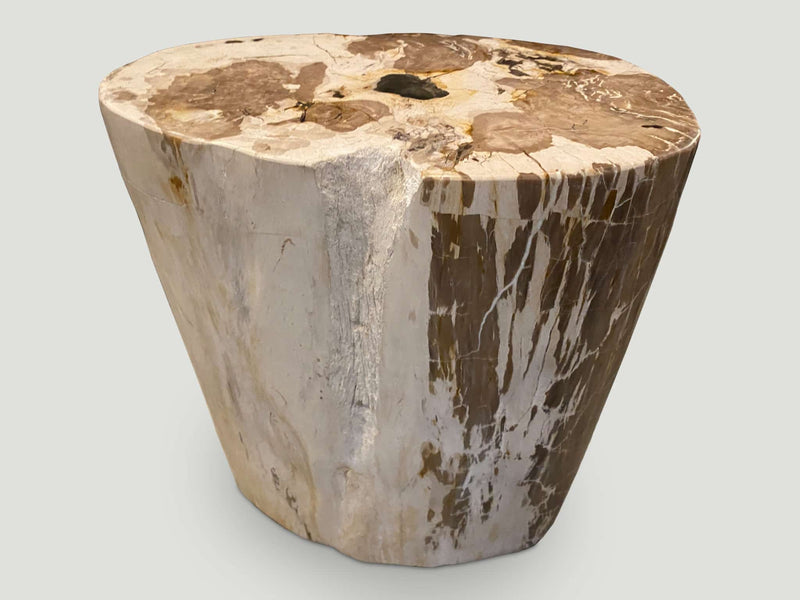 Ancient Petrified Wood Side Table