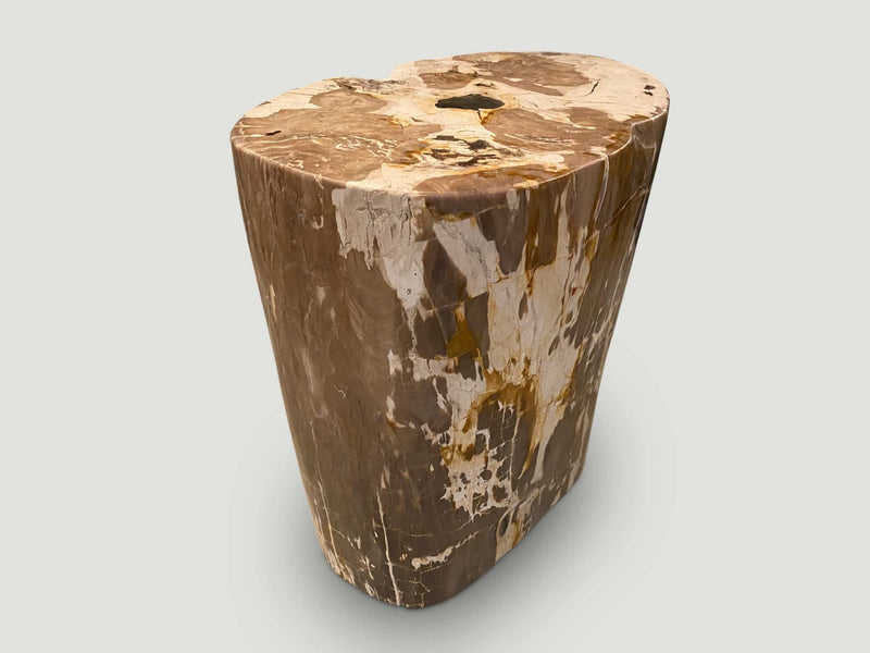 Ancient Petrified Wood Side Table