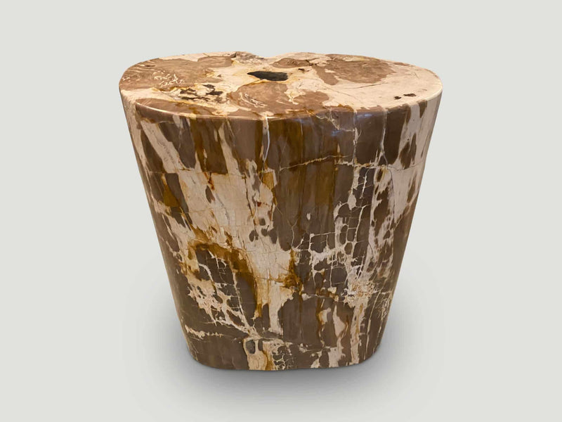 Ancient Petrified Wood Side Table
