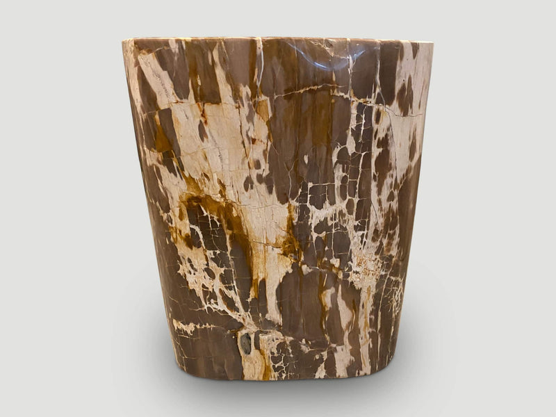 Ancient Petrified Wood Side Table
