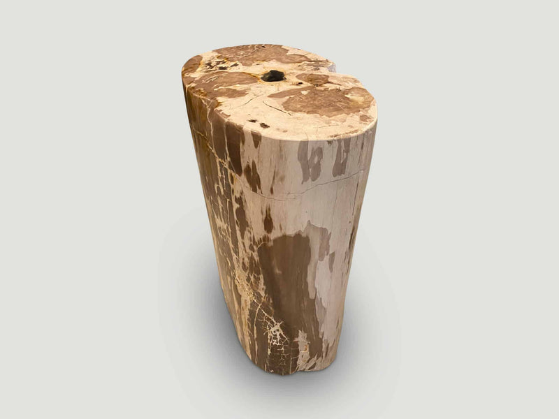 Ancient Petrified Wood Side Table